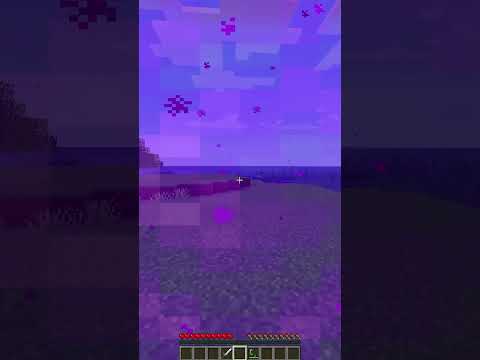 VOLEVO SOLO ENTRARE NEL NETHER