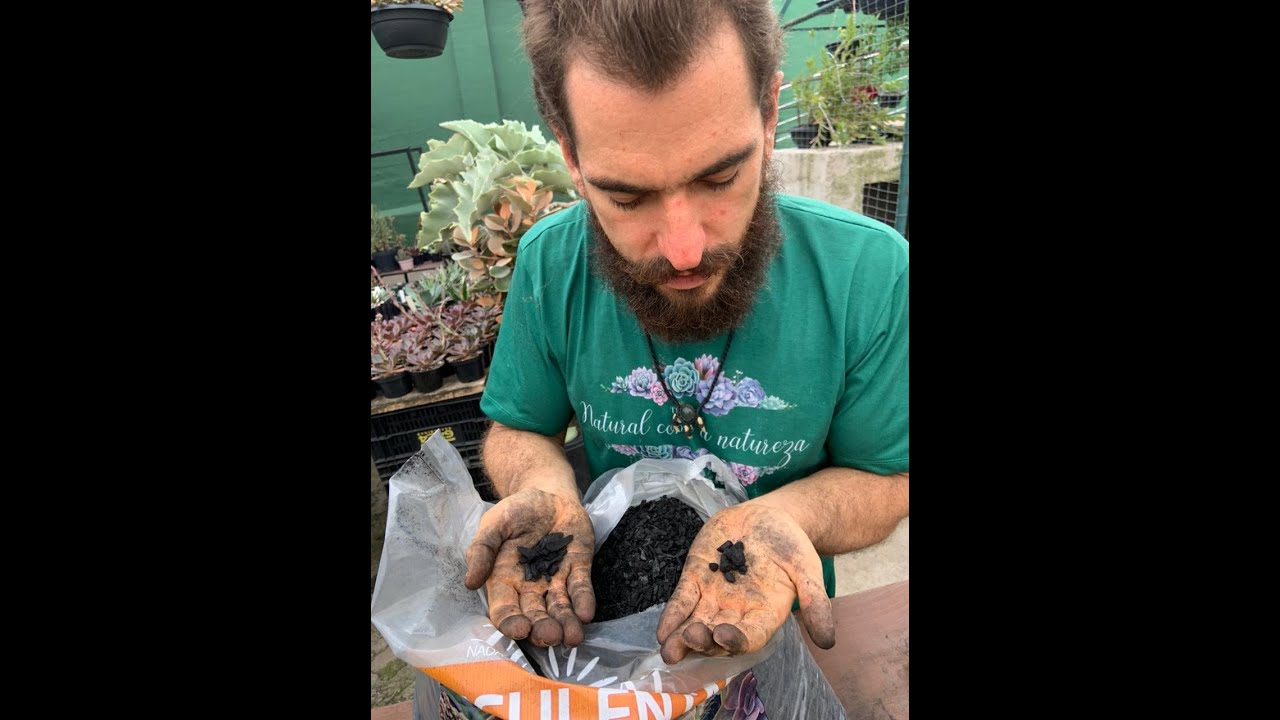 Watch Now Terral Suculentas (convencional) Terral Suculentas (convencional)