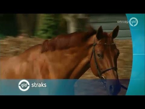 GLD Nieuws 13 april 2014