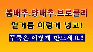 [텃밭농부 2,174]  봄배추. 양배추. 브로콜리 심을 밭에 밑거름 넣고 두둑만들기! #봄배추 #양배추재배…