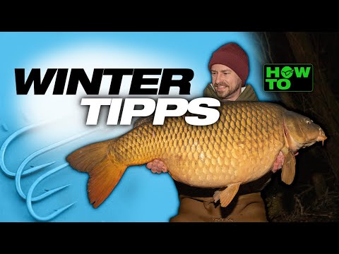 Zum WINTER KARPFEN in sechs Schritten (300-Euro-Kescher-Gewinnspiel 🤯)