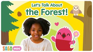 Let's Talk About Nature & Forests!
