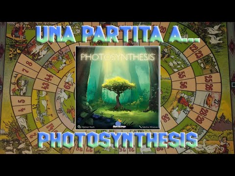 Una partita a... Photosynthesis