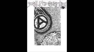 Socialized Crucifixion - Our Rise Is Your Fall! ‎& More Than A Glance - Discography 2006