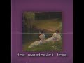 The Sweetheart Tree - Henry Mancini (slowed, reverb)