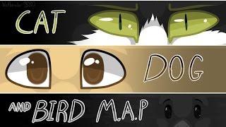 The adventure of a cat dog and bird - Storytelling MAP