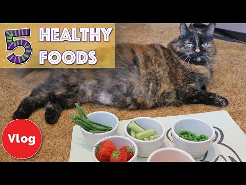 5 Foods You Didn't Know Were Good For Your Cat! Vegetables and Fruit That Your Cat Can Eat!
