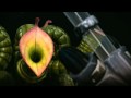 THX Avatar Opening Sequence