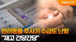 반려동물 주사기 수급도 난항…재고 간당간당 / 연합뉴스TV (YonhapnewsTV)