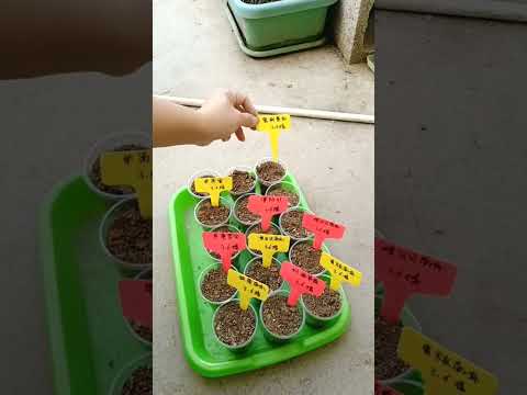 4325 🌿🌰🌹🥦🍈 #photography #tractor #agro #dinner #foodphotography