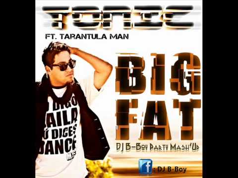 Tonic Feat. Tarantula Man - Big Fat (DJ B-Boy Party Mash'Up)