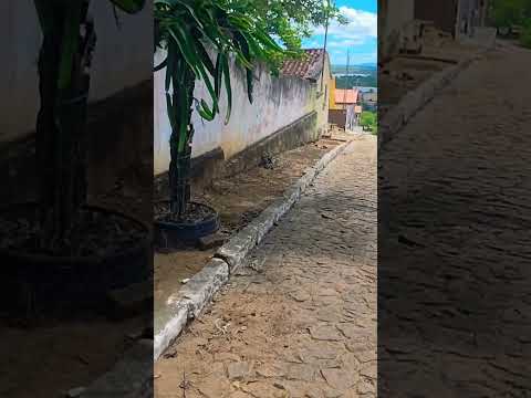 comprando uma costela no salto da divisa