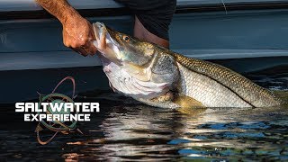 Saltwater Experience S12:E1 \