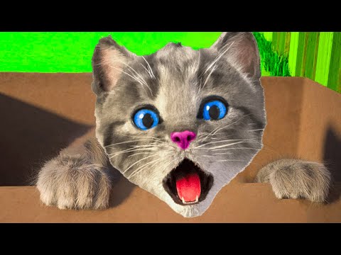 FUNNY CUTE LITTLE KITTEN ADVENTURE MAMA MEOW - SPECIAL CARTOON CATS VIDEO FOR CATS