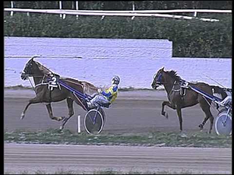 Trotto 21/02/2016 - 3° corsa