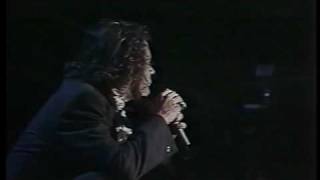 INXS - 05 - Wildlife - Buenos Aires - 22nd January 1991