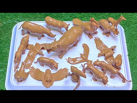 Exploring Africa’s Wildlife | Secrets of the Sky and Forest Animals Uncovered