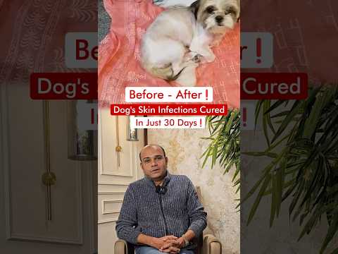 Coat Shine Comeback