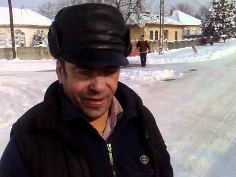 dufurica din listeava