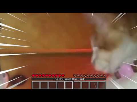 CATTO JUMPSCARE GONE MINECRAFT MEME