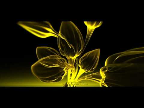 GMS vs Audio-X vs Life Style  - NN