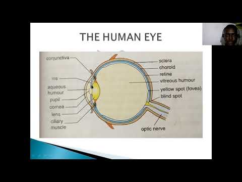 GOD FIRST COLLEGE: PHYSICS OPTICAL INSTRUMENTS AND THE EYE SS2 WEEK 4