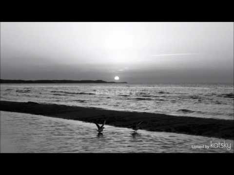 ¨°•☆• Paul Martinez & Fiddler ~ Processus [ Matias Chilano Remix ]