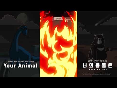 Your Animal : Enchant RPG Video