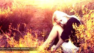 Skyvoice - Say Goodbye (feat. Noctilucent)