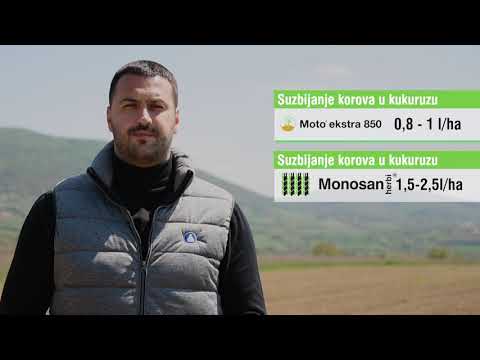 Zastita kukuruza od korova, Galenika fitofarmacija - U nasem ataru 839