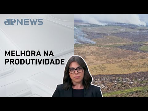 Mariana Grilli: Itaúba (MT) vira exemplo de recuperação de áreas degradadas no Brasil
