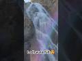 Lodh Waterfall Waterfall