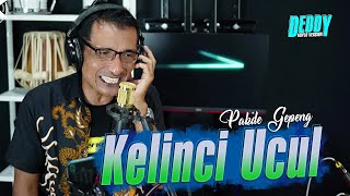 Download lagu KELINCI UCUL VERSI DANGDUT KOPLO JARANAN || FARIS KENDANG FT PAKDHE GEPENG mp3