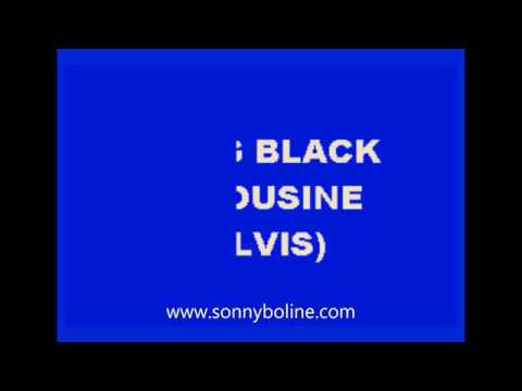 Long Black Limousine - Elvis Presley