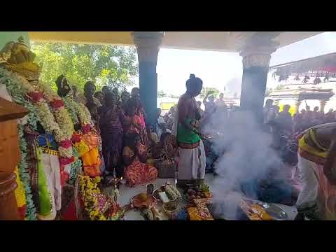 video image