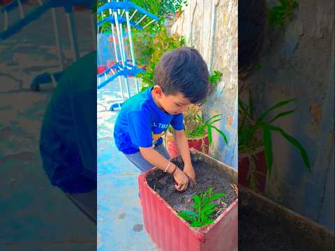 Akkar Chakkar 😱😜 #funnyshorts #trending #shorts #viral #ytshorts #vishumastishorts