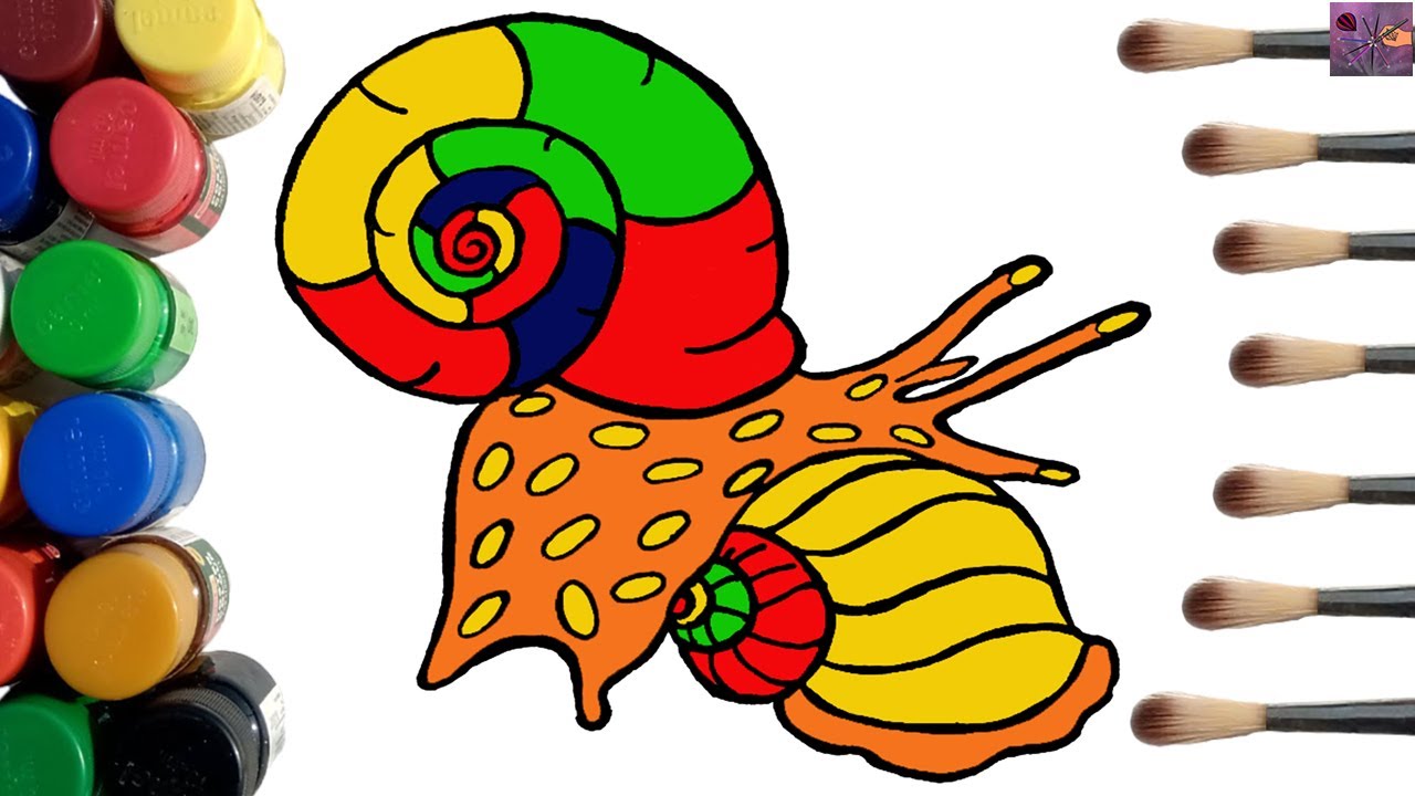 Snail Coloring Pages | How to Draw and Color a Snail Step by Step for Kids
