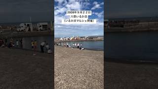 2026年９月２２日川奈いるか浜の様子