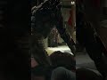 Assassin  predator best scene | The Predator 2018 Movie