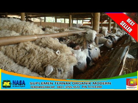 G orang-orang yang menurunkan berat badan Berat kerugian sistem e Mirimanova -60