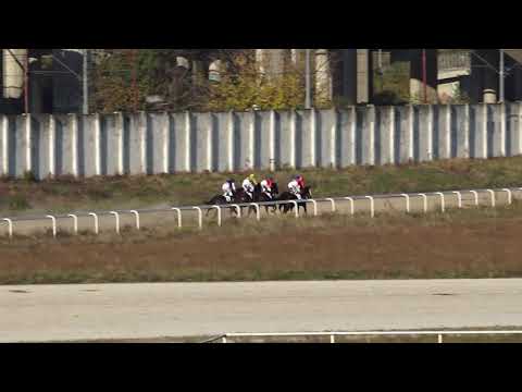 31.10.2021 Trka III - DANEBURY HILL Beogradski hipodrom