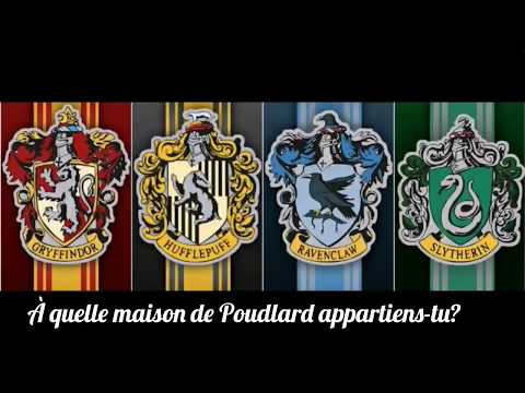 À quel maison de Poudlard appartiens-tu