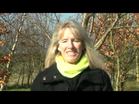 The Essence of Watercolour with Hazel Soan