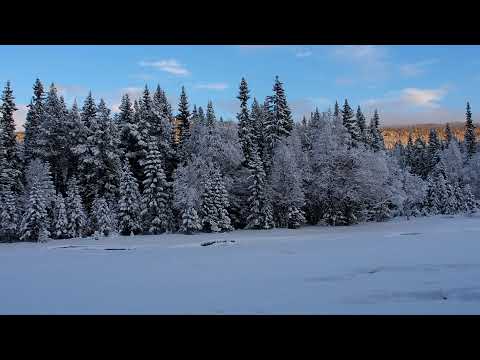 Skitur langs Atna, Sollia, over Trøbua til Golanhøgda