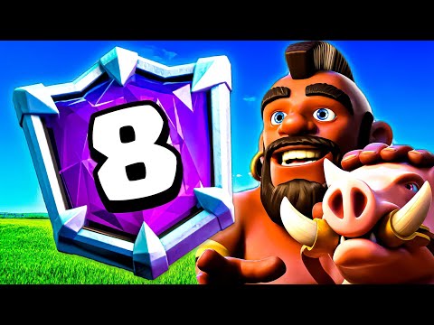 #8 GLOBAL WITH 2.8 HOG EQ CYCLE 🐖