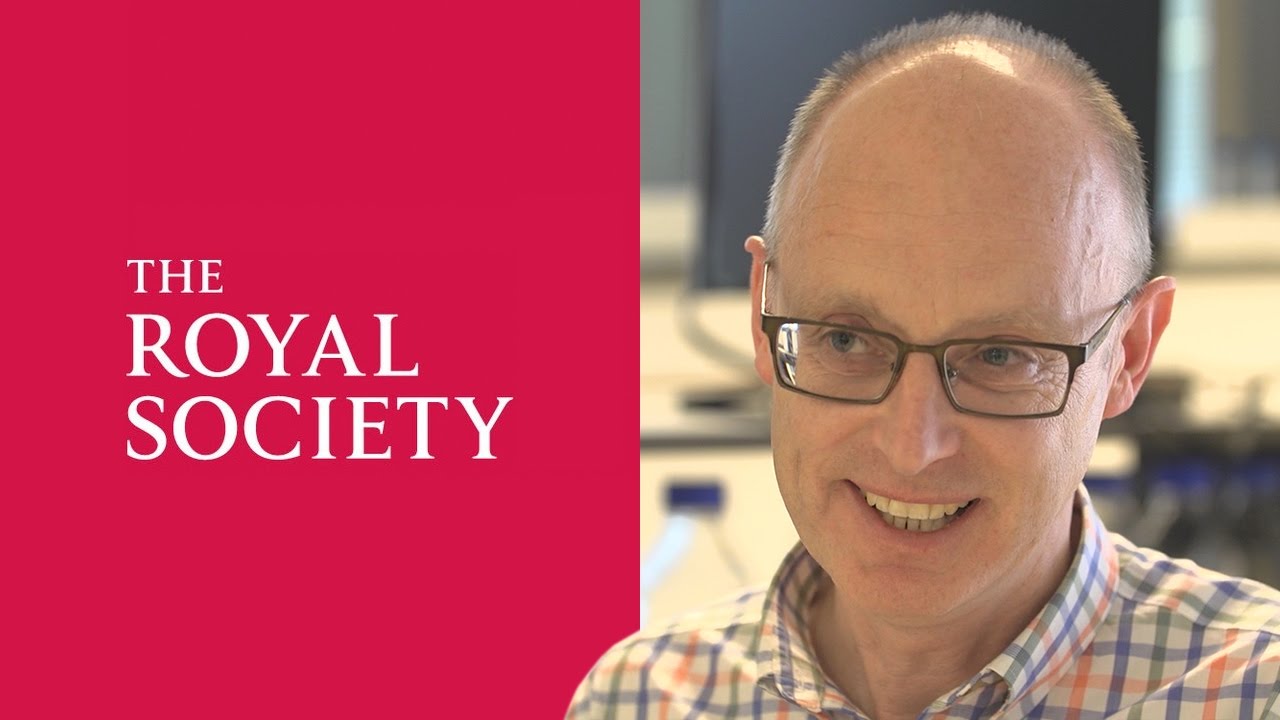 UCD Professor Kenneth Wolfe elected Fellow of the Royal Society