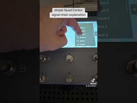 Quad Cortex Signal Path Explanation