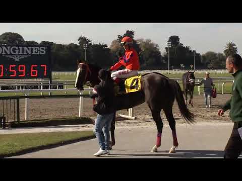 220521 c01 EL NARANJO