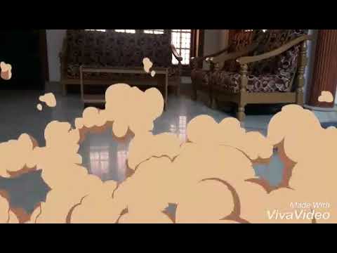 persian cat shaji papan comedy scene