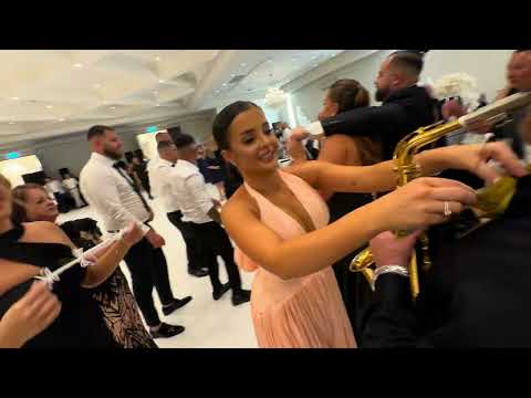 VECERNA SVADBA FAMILIJA DIMCEVSKI ( SONATA  TUSE / BANANA/ VLATKO GAJDA LIVE)